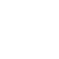 Ironfit Admin logo